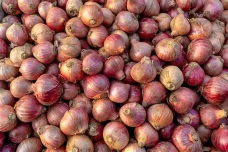 Fresh Harvest Red Onions