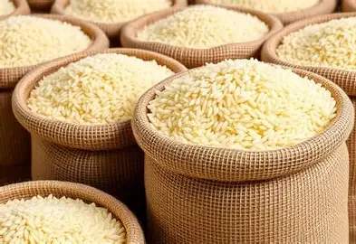 Premium Basmati Rice (1121 / Pusa / Aged)