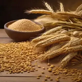 High-Protein Milling Wheat & Durum Wheat