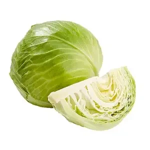 Fresh Green Cabbage