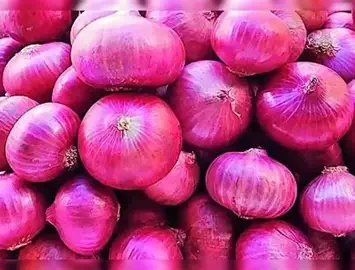 Fresh Indian Onion